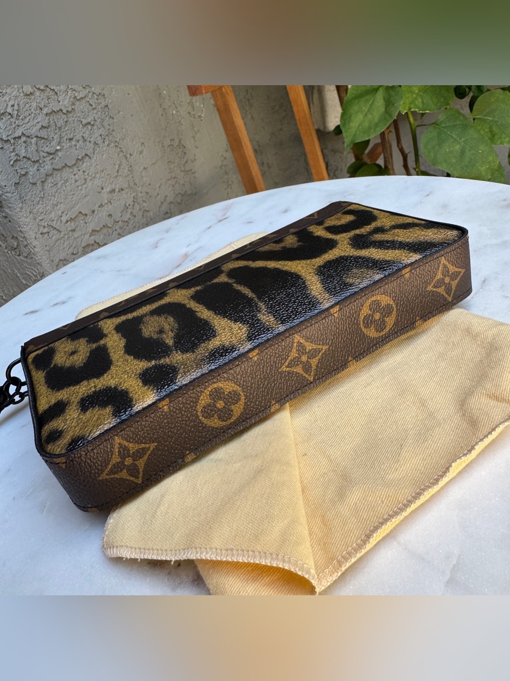 Louis Vuitton Wild Animal Pochette Felicie Crossbody - Picture 9 of 16